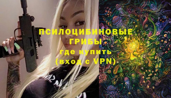 прущий лед Богородск